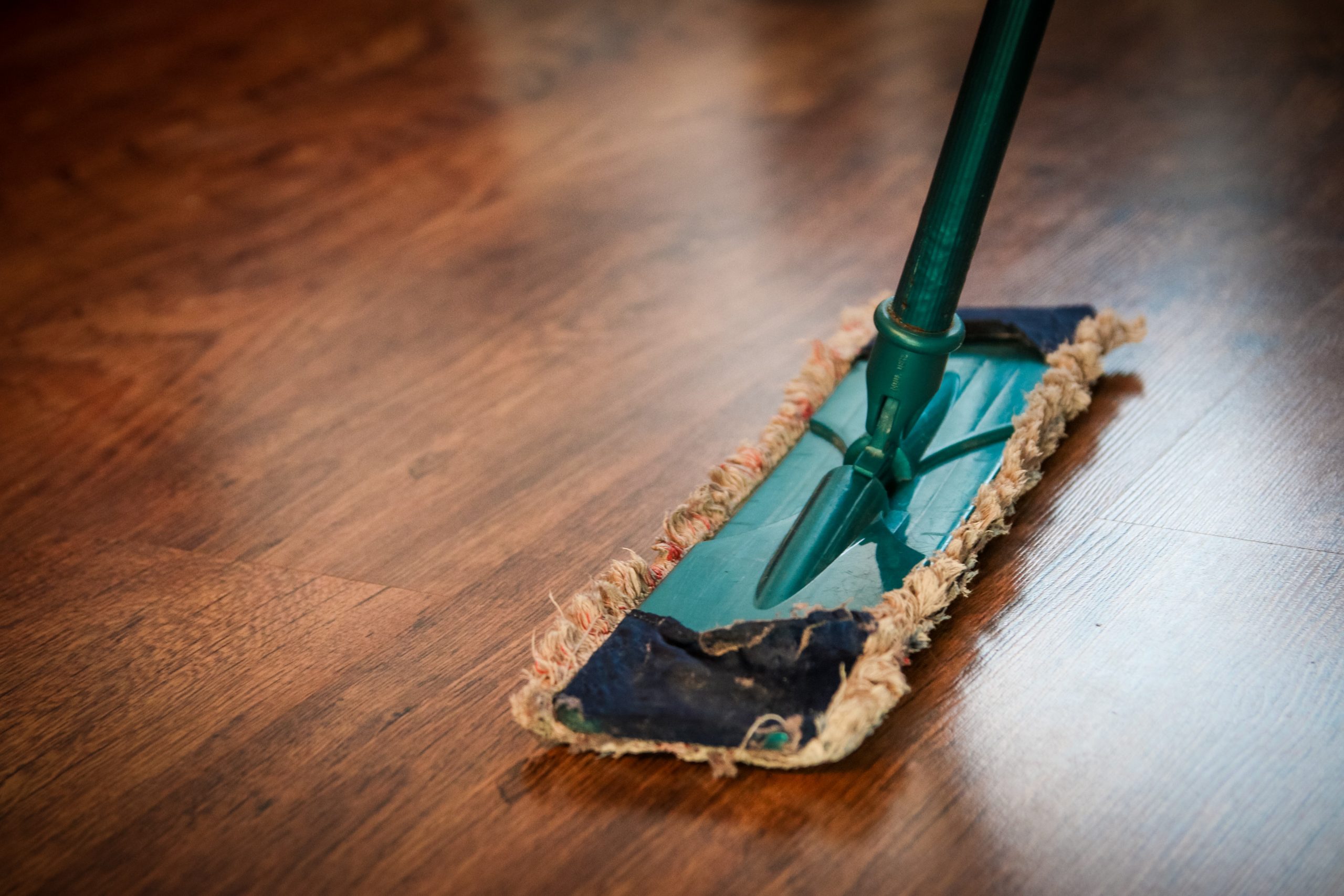 Essential Things You Need to Start an Organic Cleaning Service Company