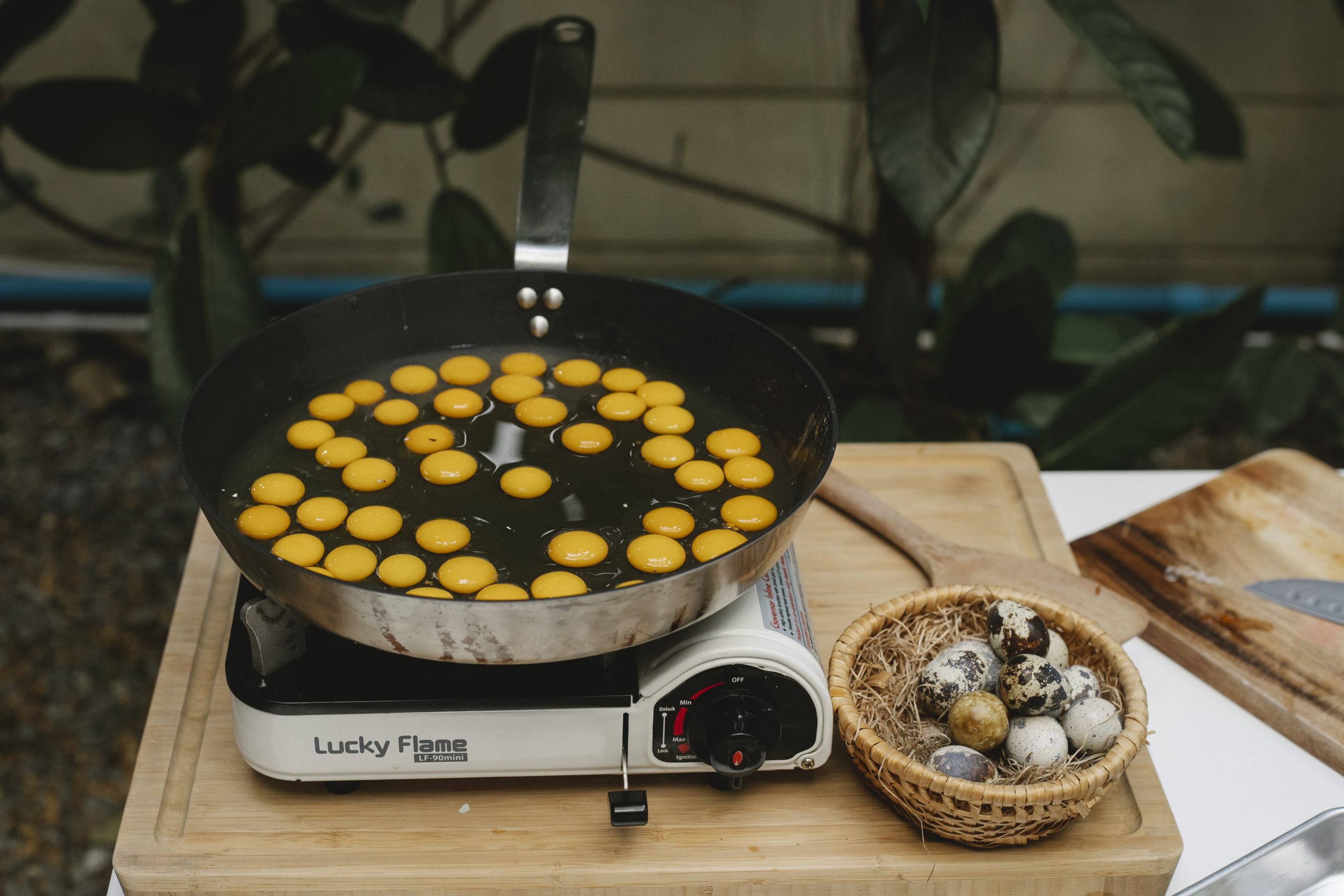 Many quail eggs on electric stove